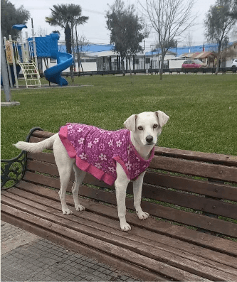 Foto de Blanquita