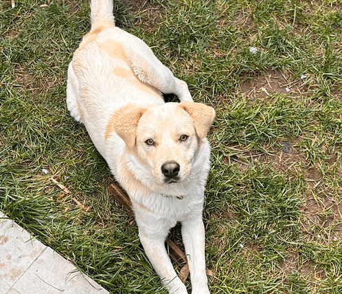Foto de Nena