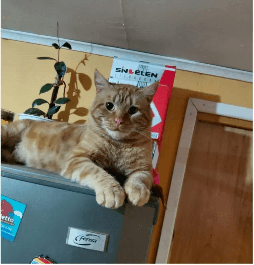 Foto de Tomás