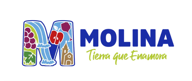 Municipalidad de Molina